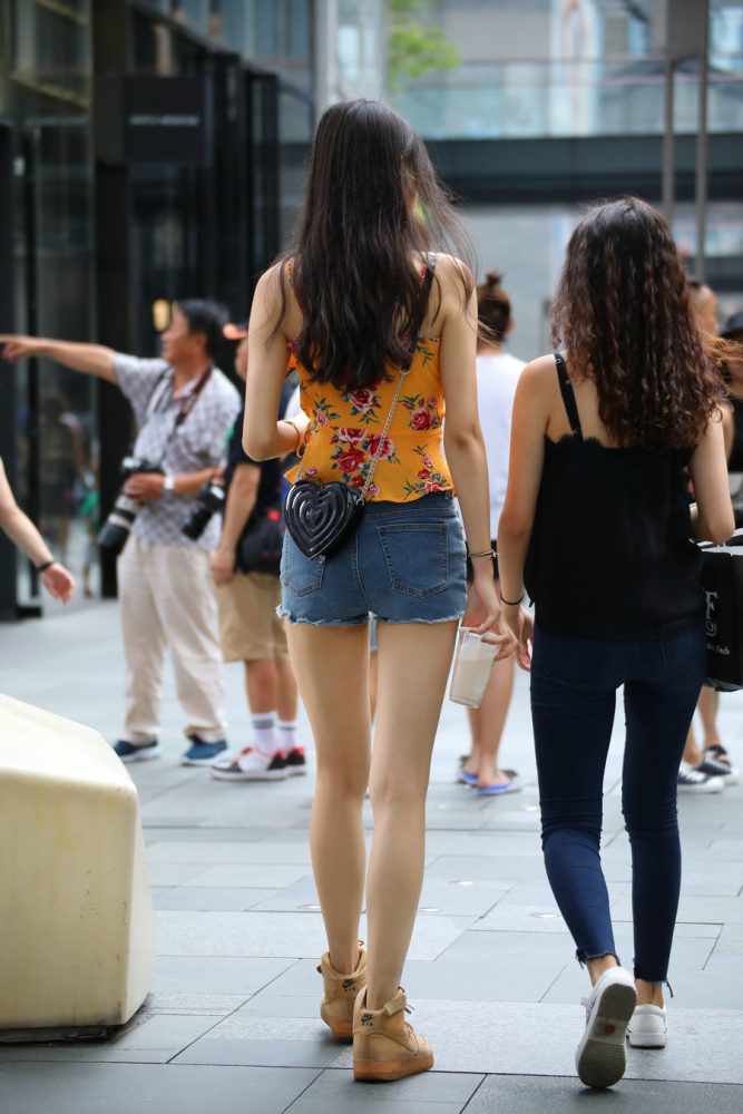 J2023 30P-255MB-虎哥图库