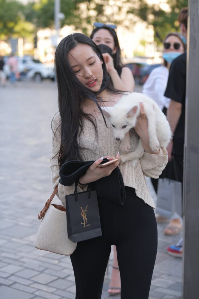 抱着小狗的漂亮女孩 J2106 136P-3.25GB-虎哥图库